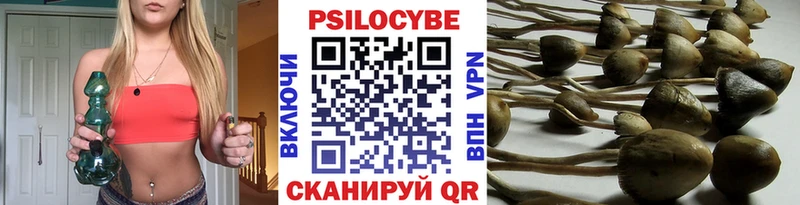 где найти наркотики  hydra tor  Псилоцибиновые грибы Psilocybe  Полысаево 